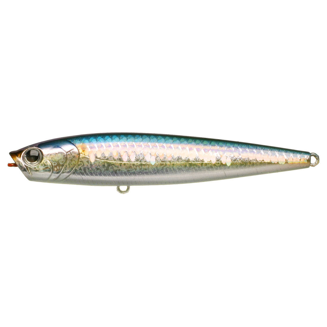 MS American Shad