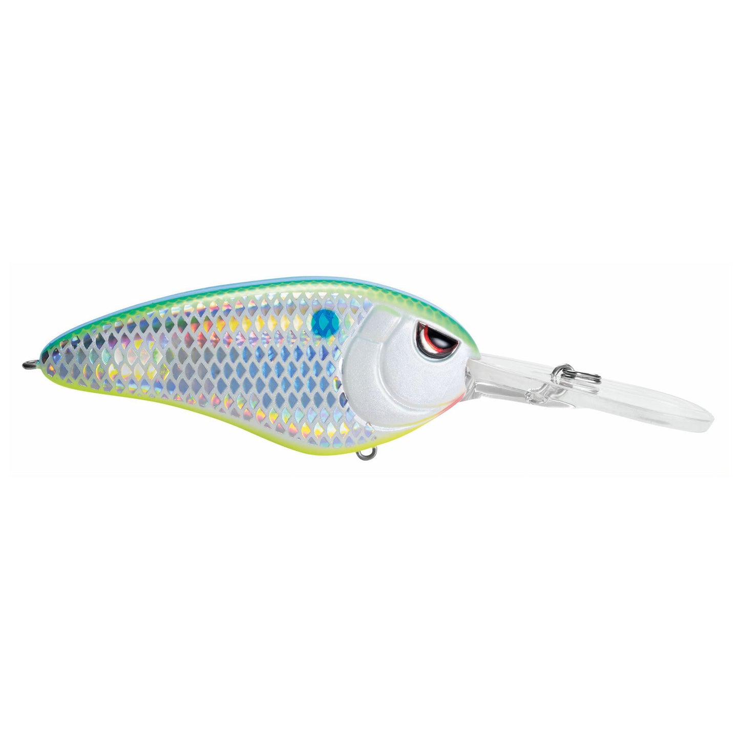 CITRUS SHAD
