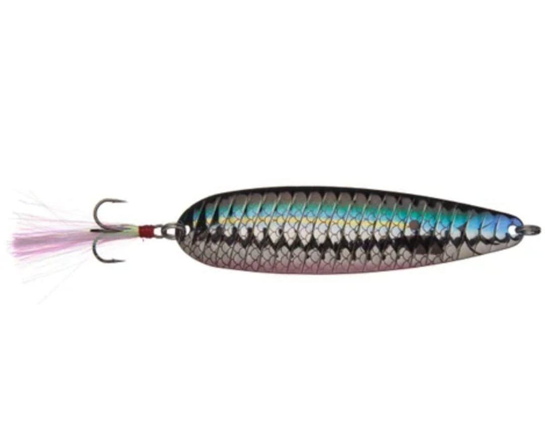 Blueback