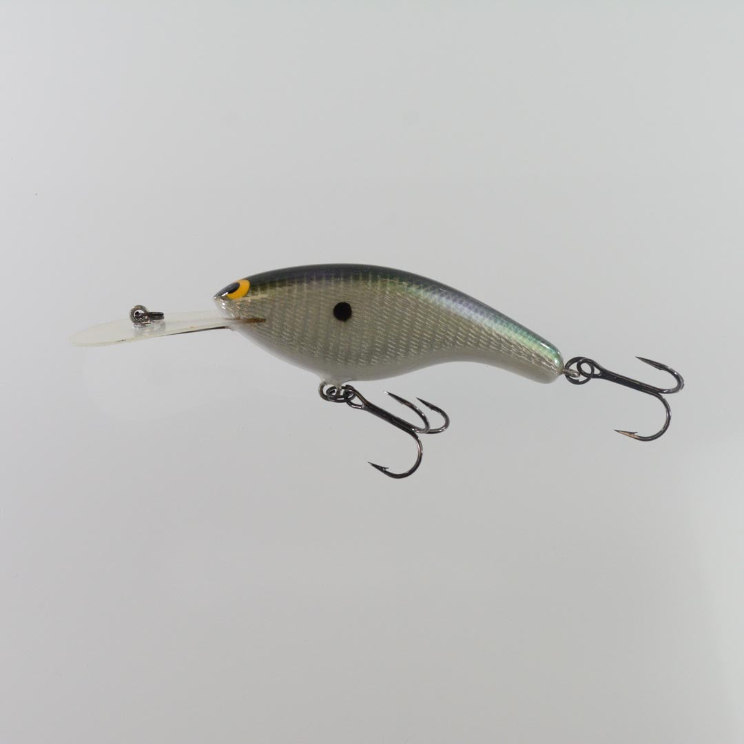 Gizzard Shad Foil