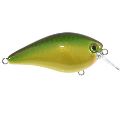 MM Caramel Apple Shiner