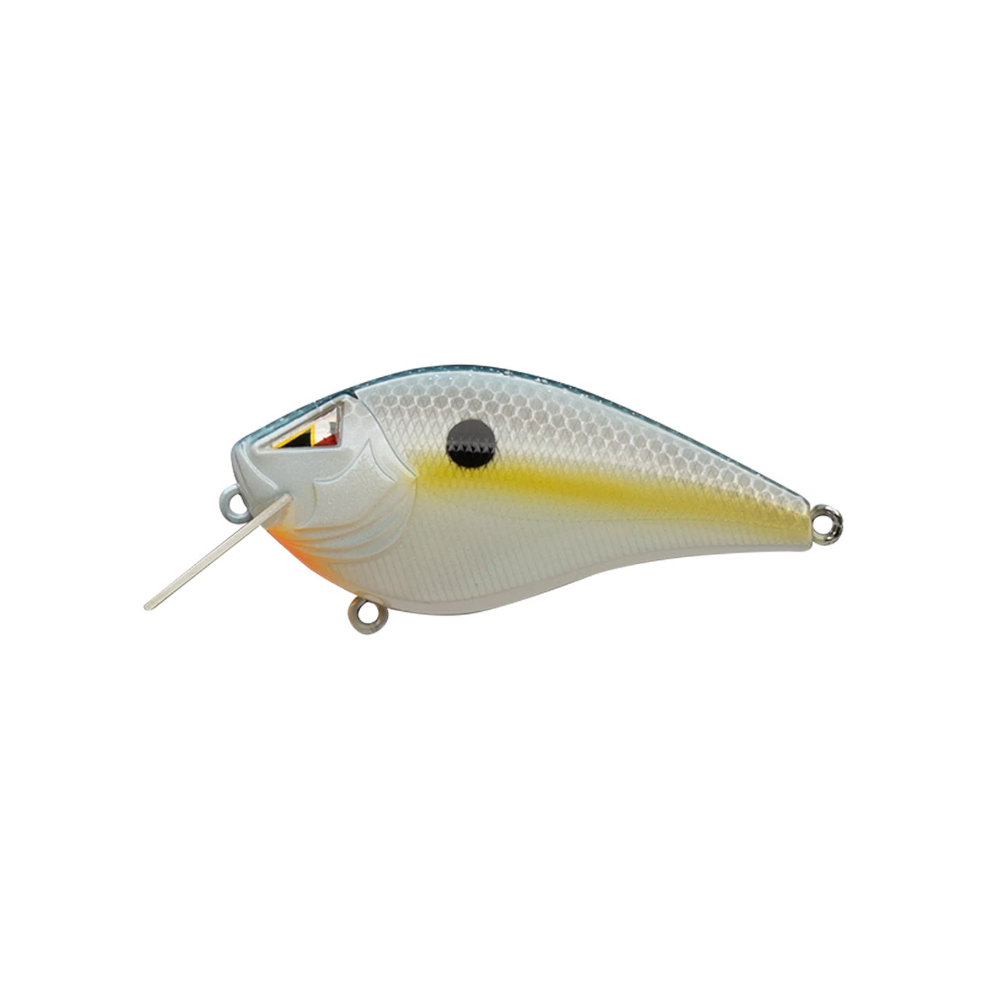 New Sexy Shad