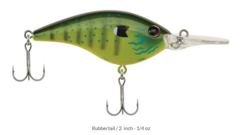 Rubbertail