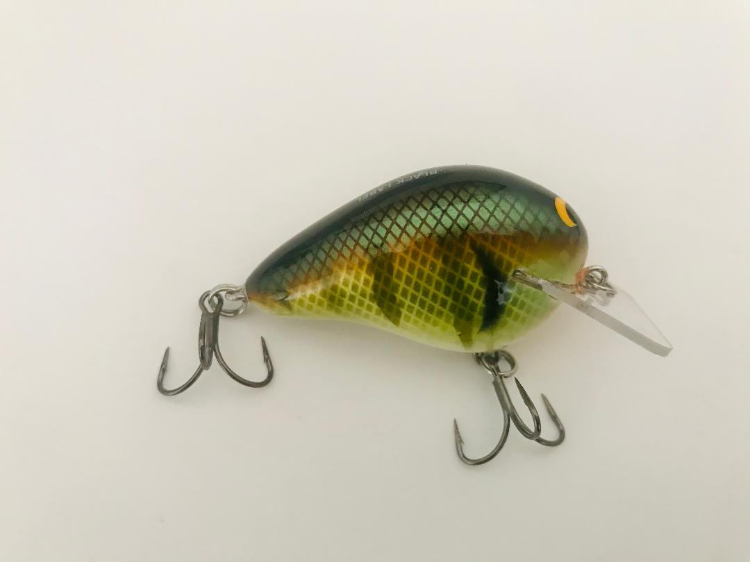 Bold Bluegill