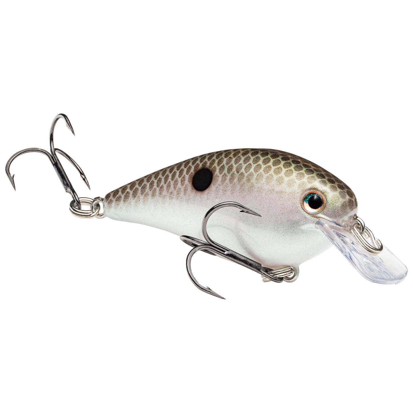 Green Gizzard Shad