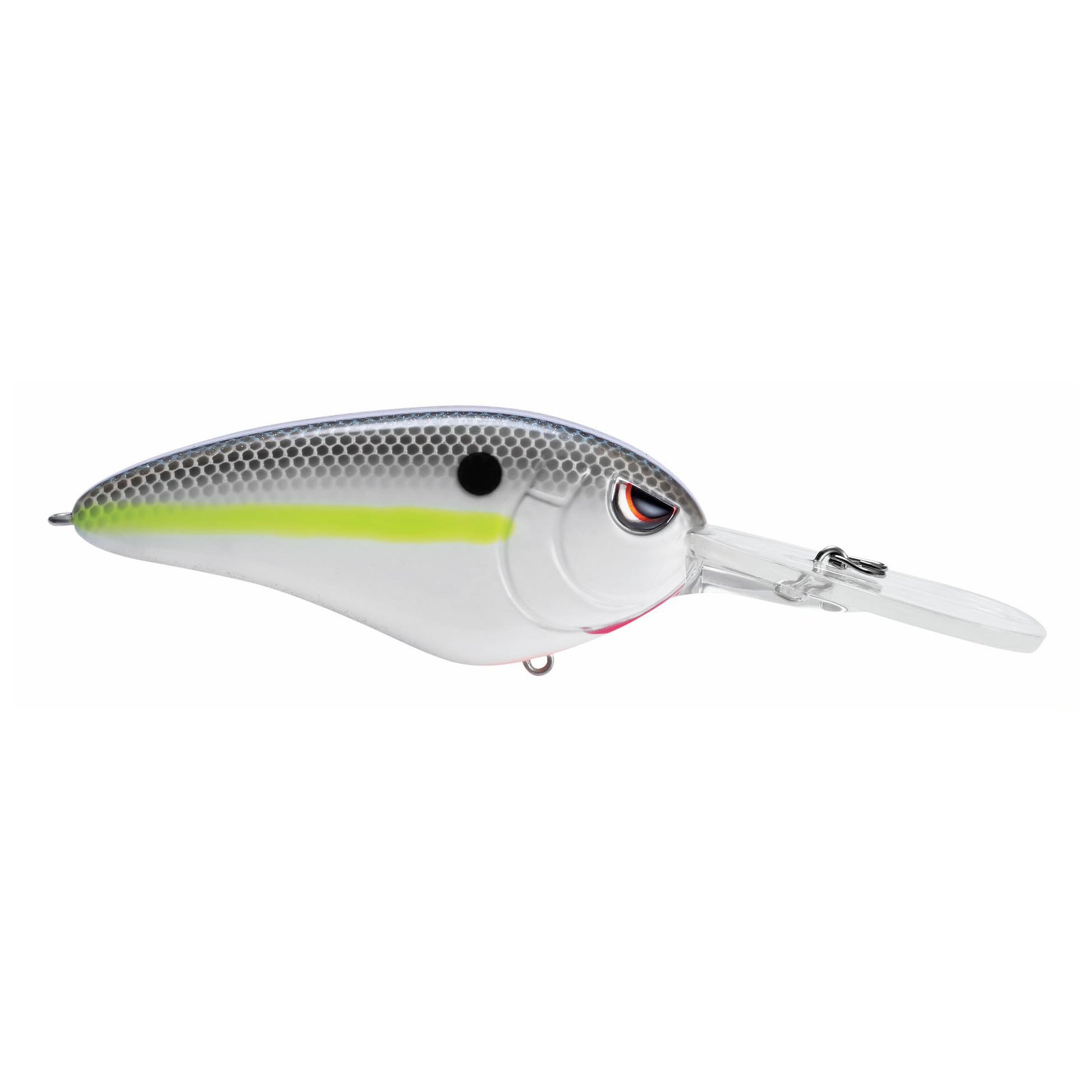 NASTY SHAD