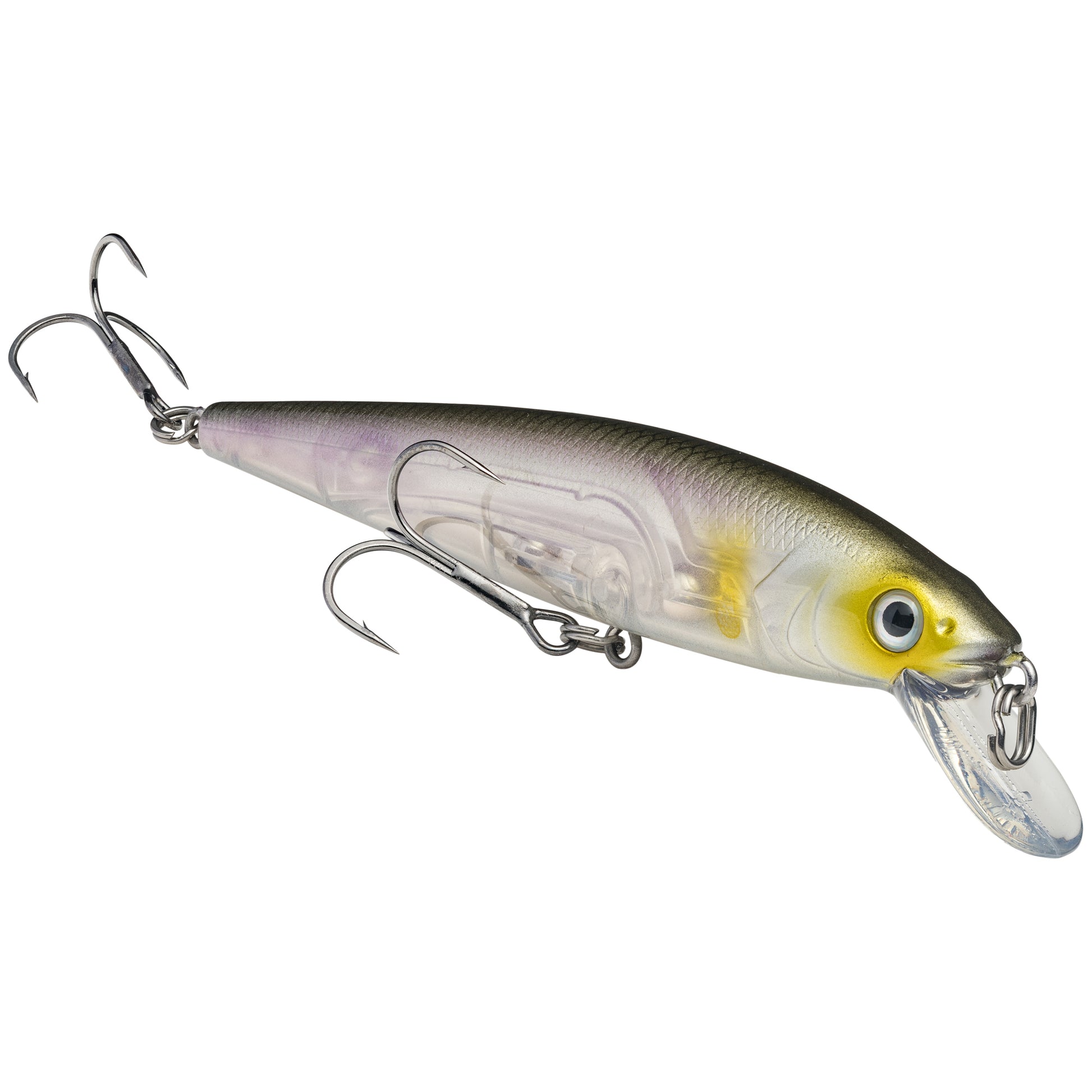 Clearwater Minnow