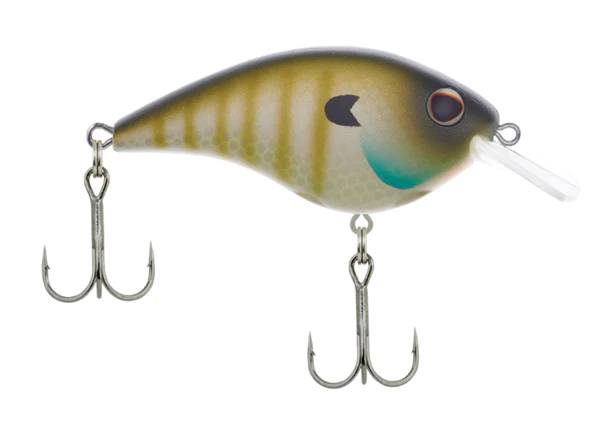 MF Bluegill