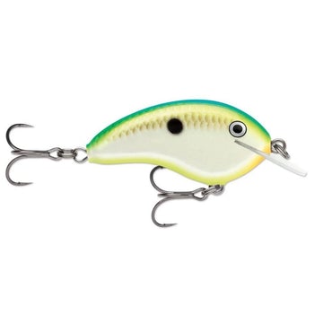 Citrus Shad