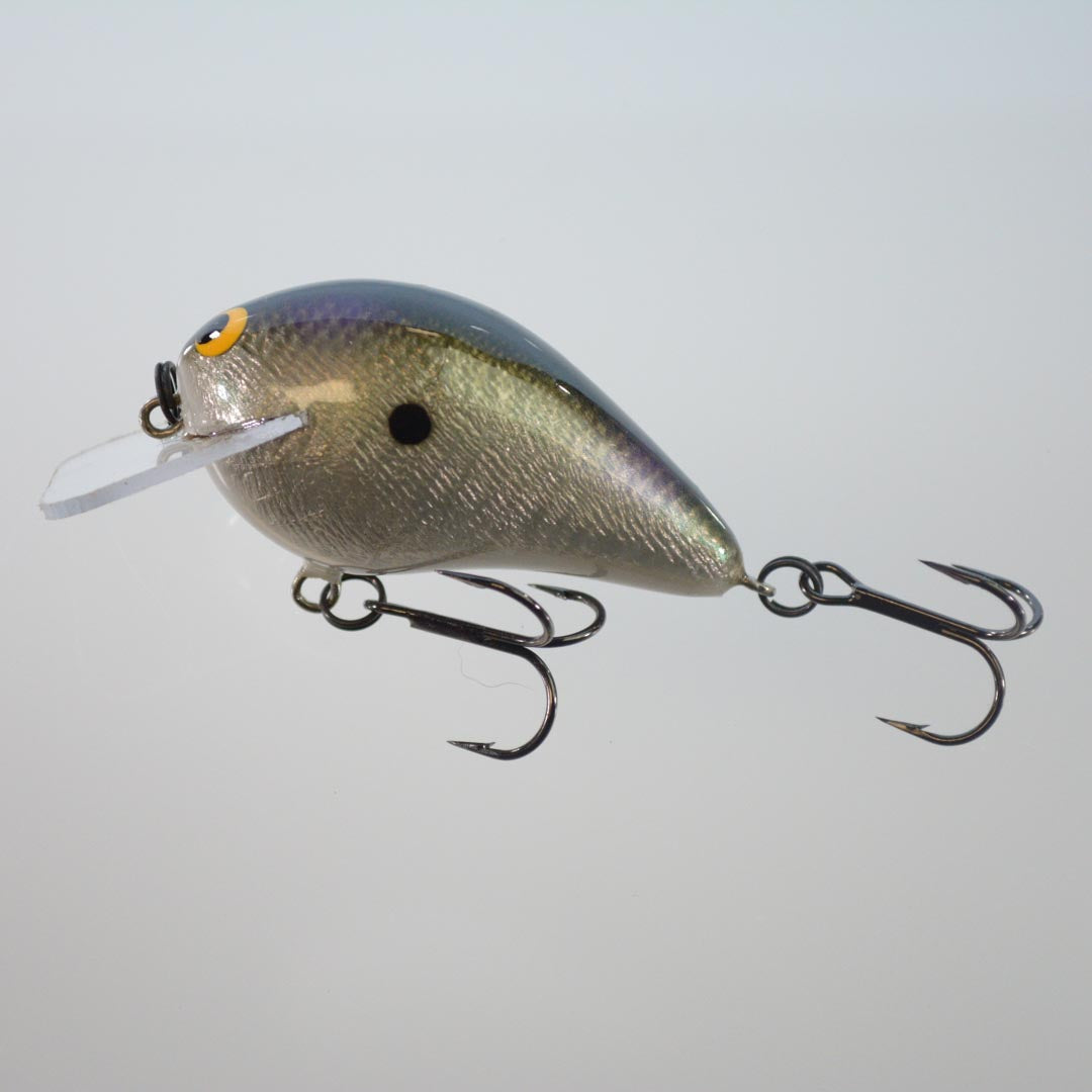 Gizzard Shad Foil