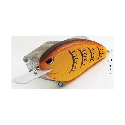 Spring Craw
