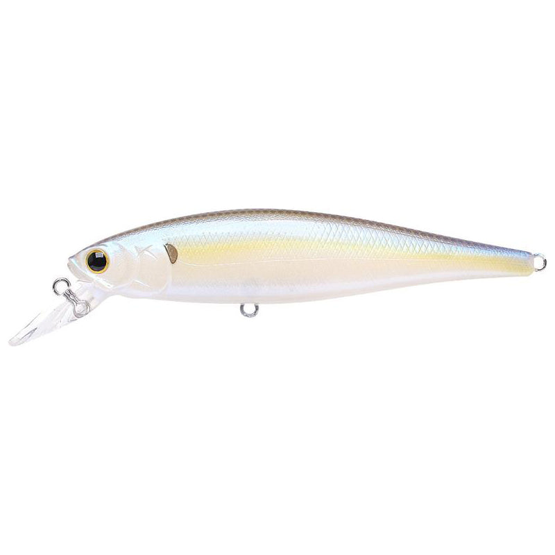 Chartreuse Shad
