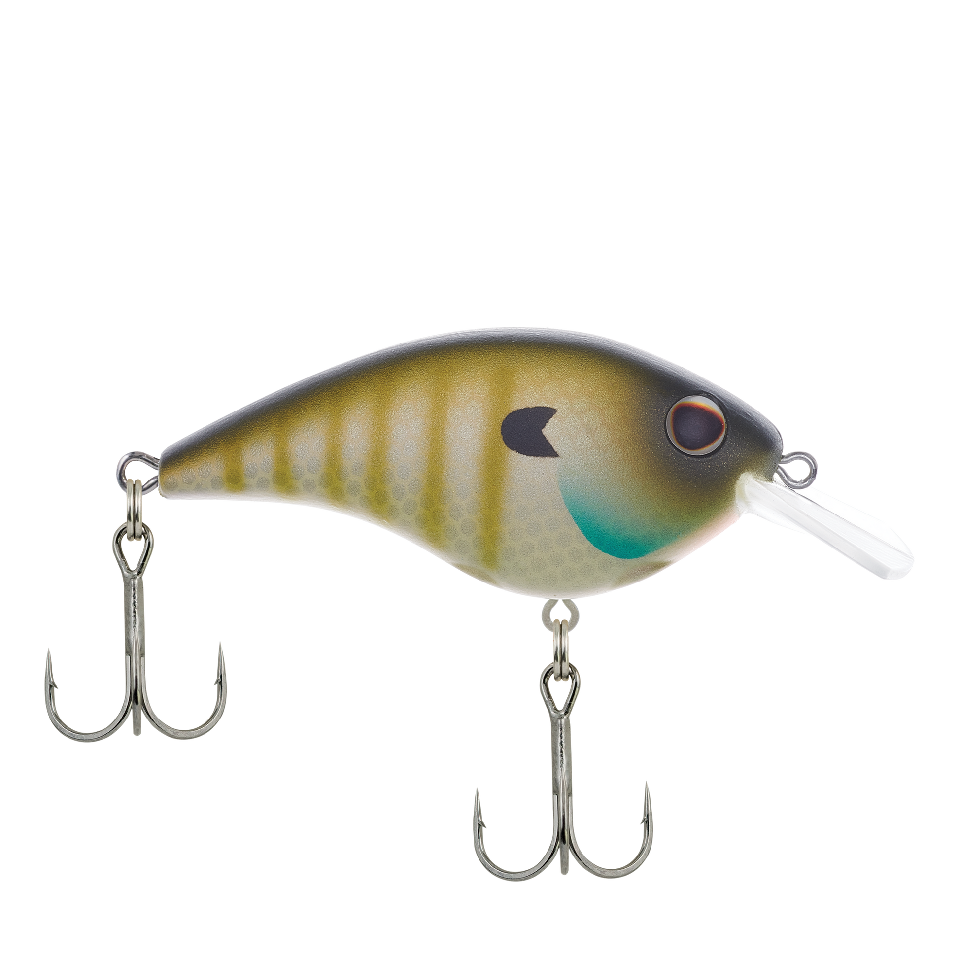 MF Bluegill
