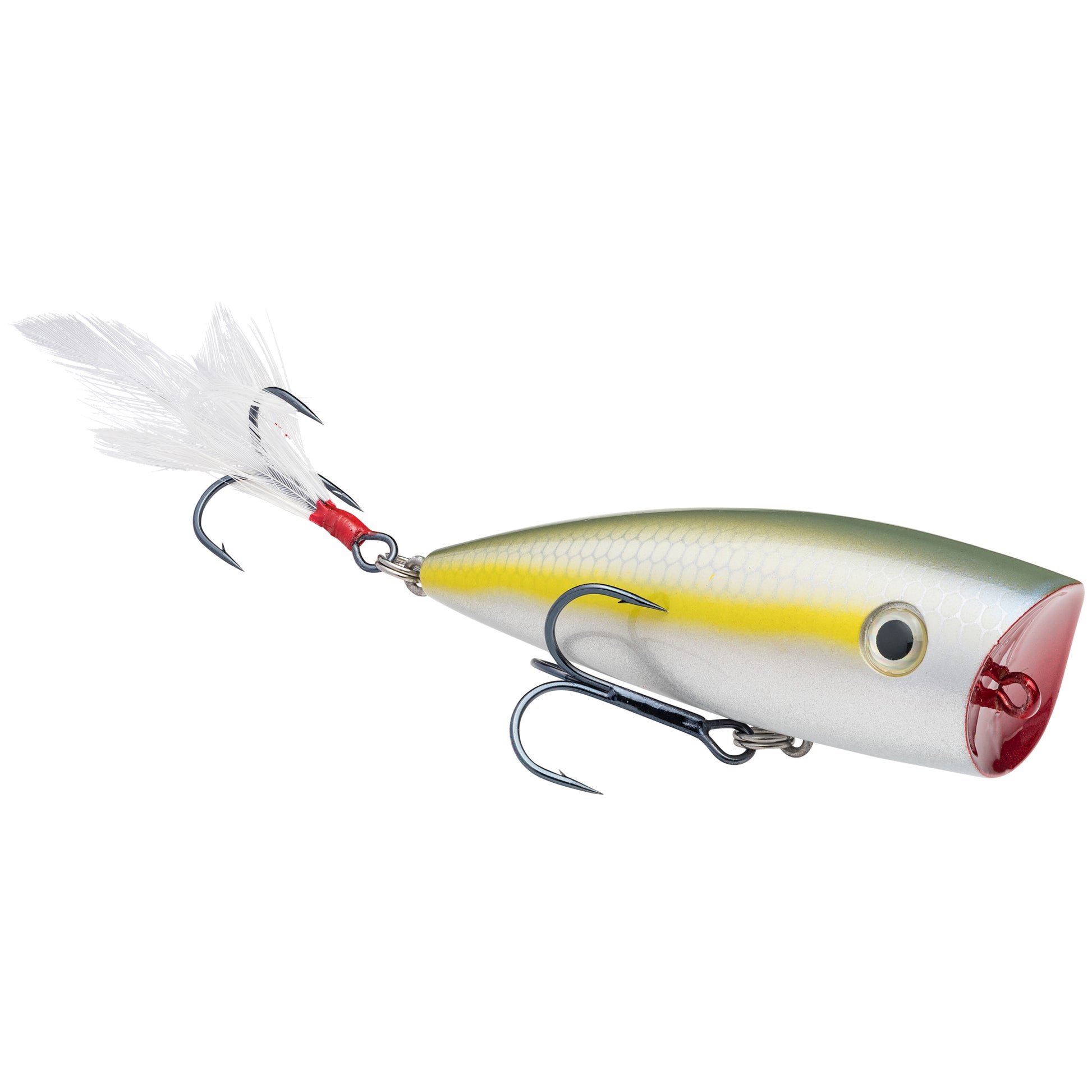 Sexy Blue Back Herring