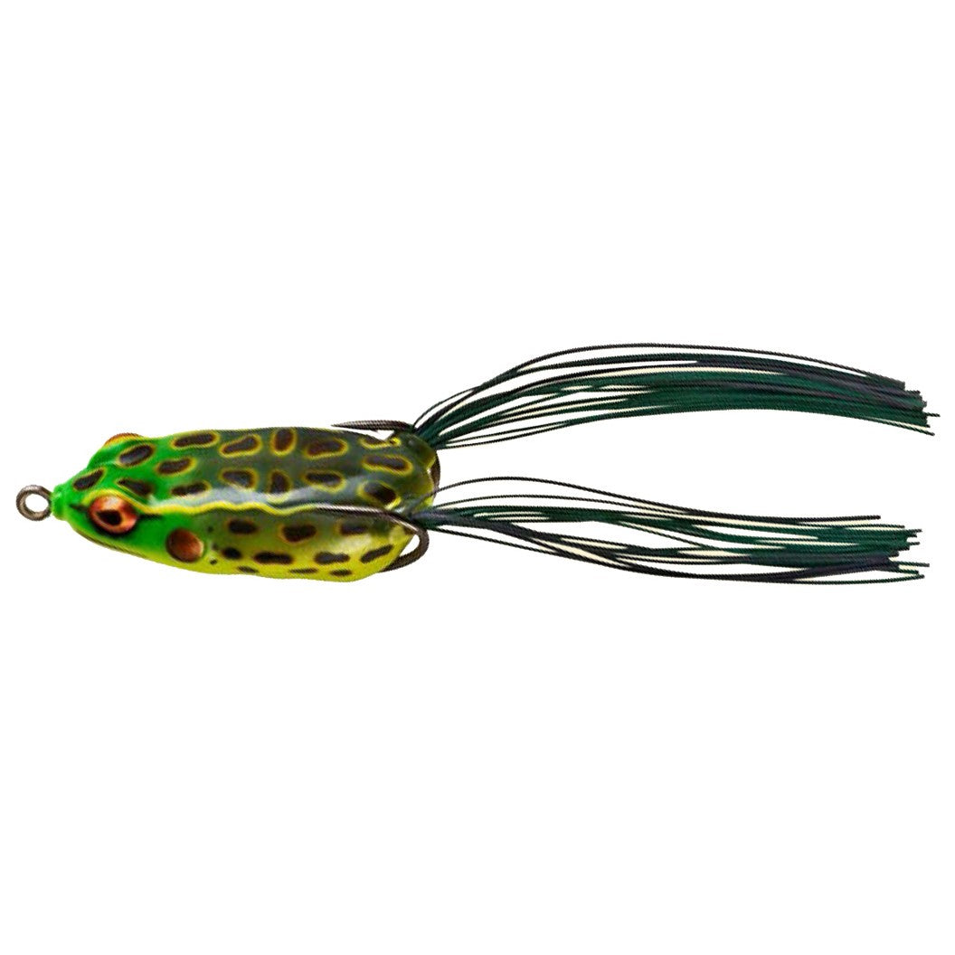 Bullfrog