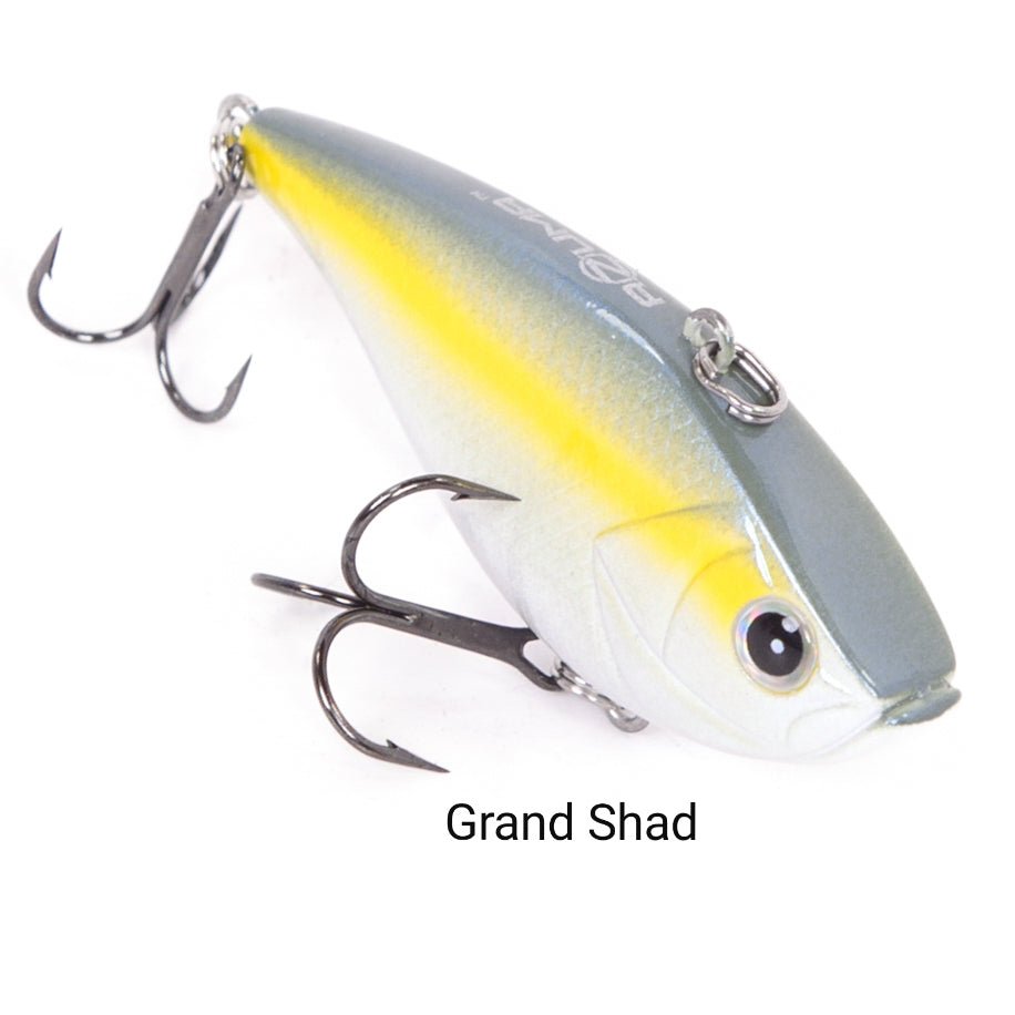 Grand Shad