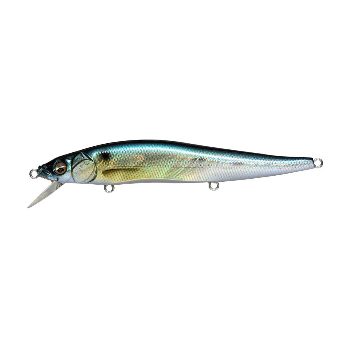 GG Threadfin Shad