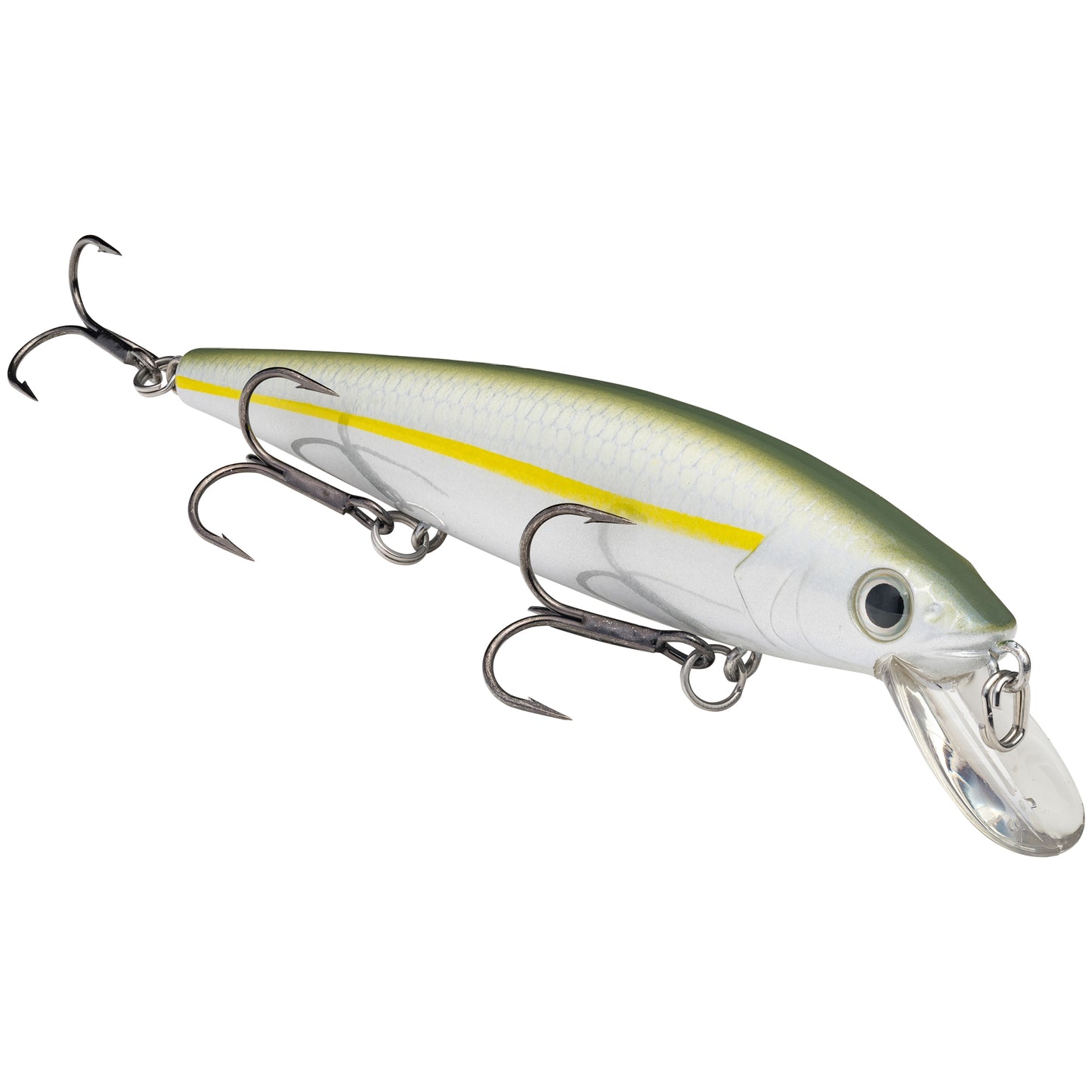 Sexy Blue Back Herring