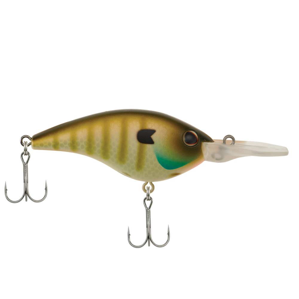 MF Bluegill