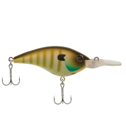 MF Bluegill