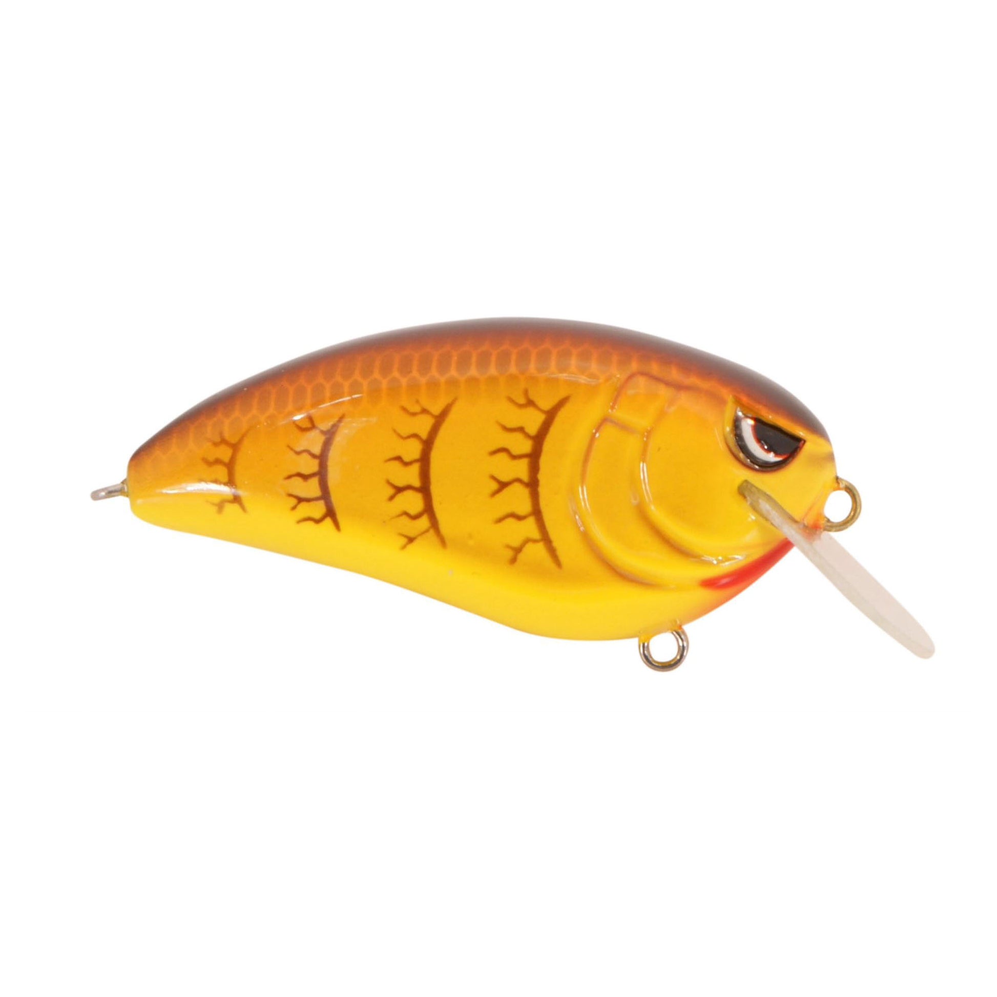 SPRING CRAW