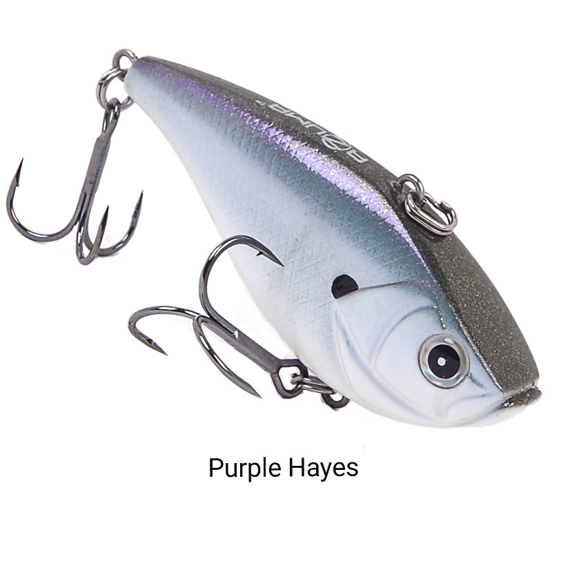 Purple Hayes