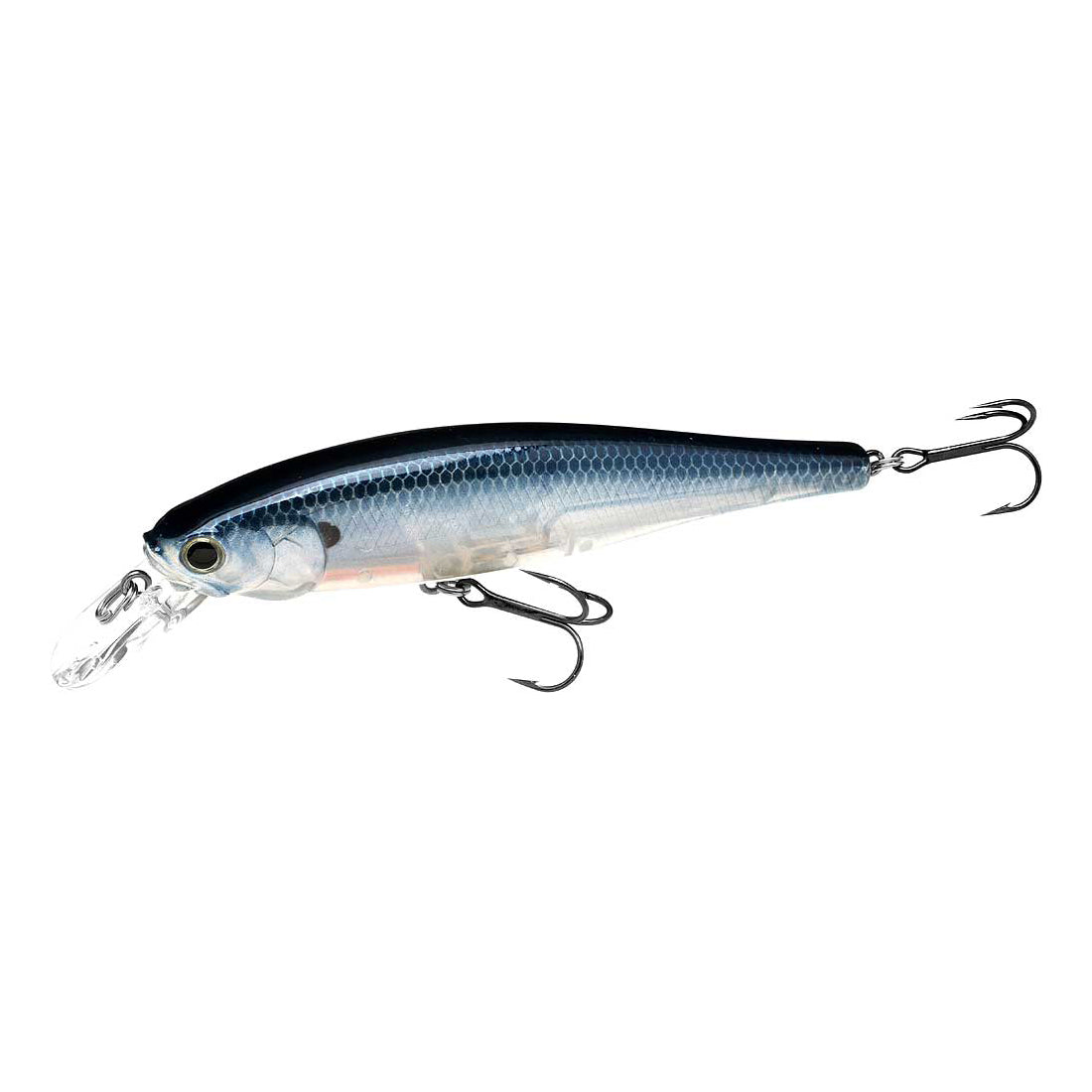 Ghost Blue Shad