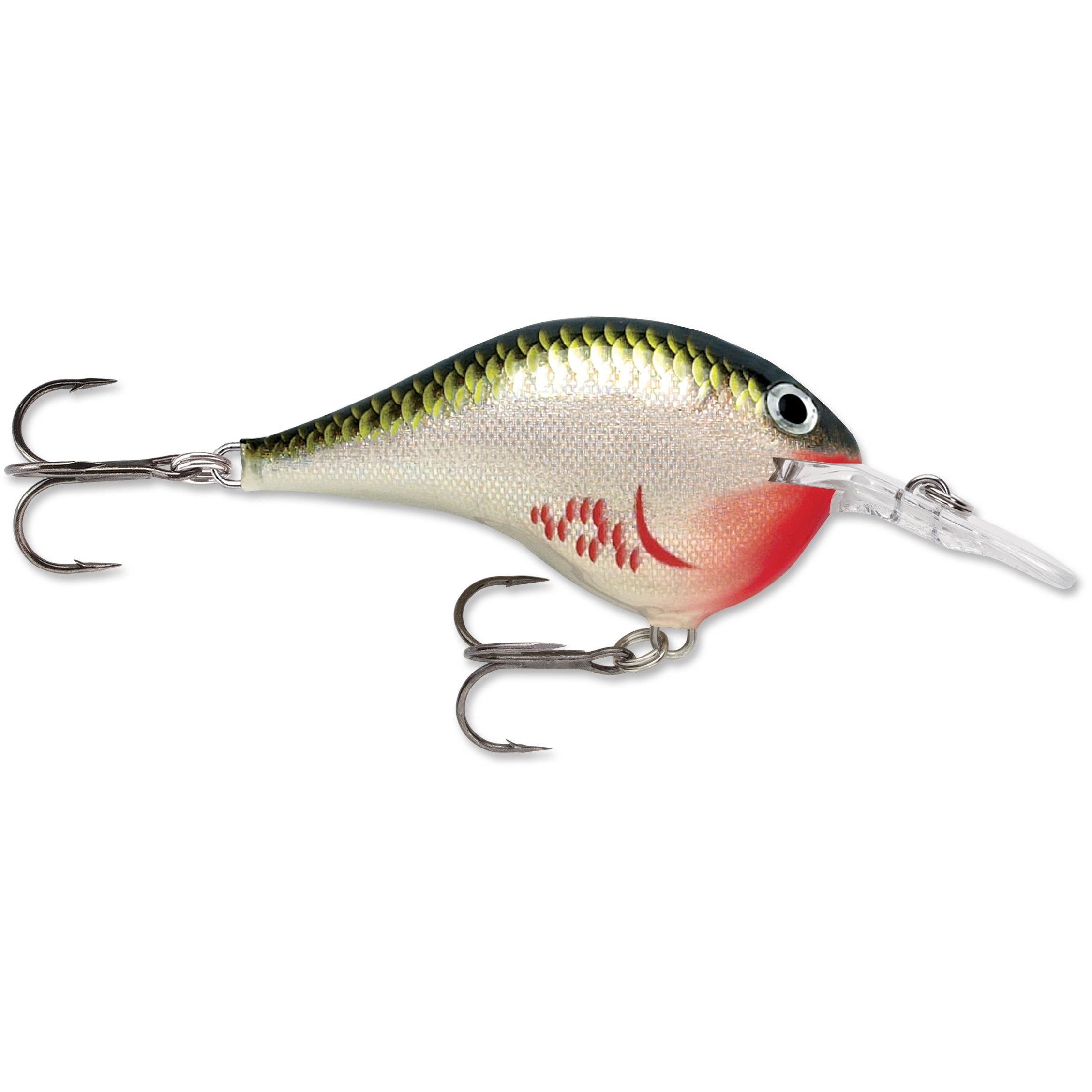 Rapala DT (Dives-To) – The Loft at Bucks Island
