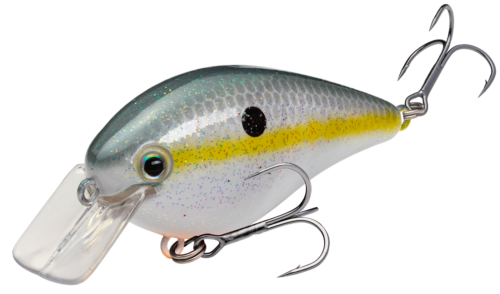 Sexy Shad