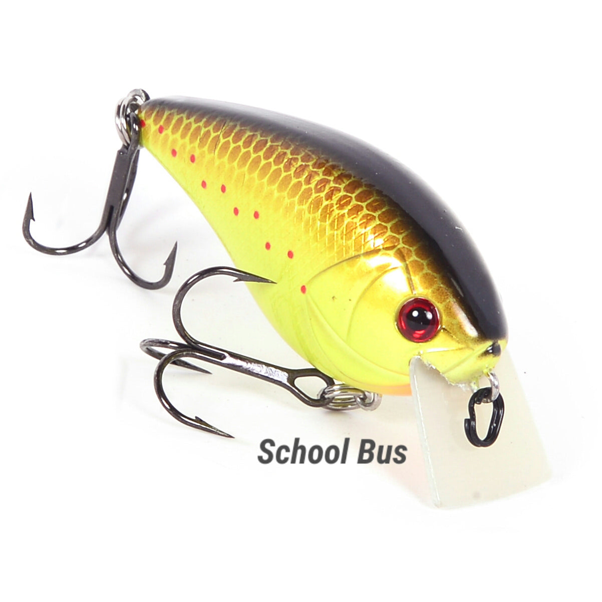 School Bus