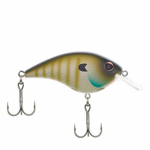 MF Bluegill
