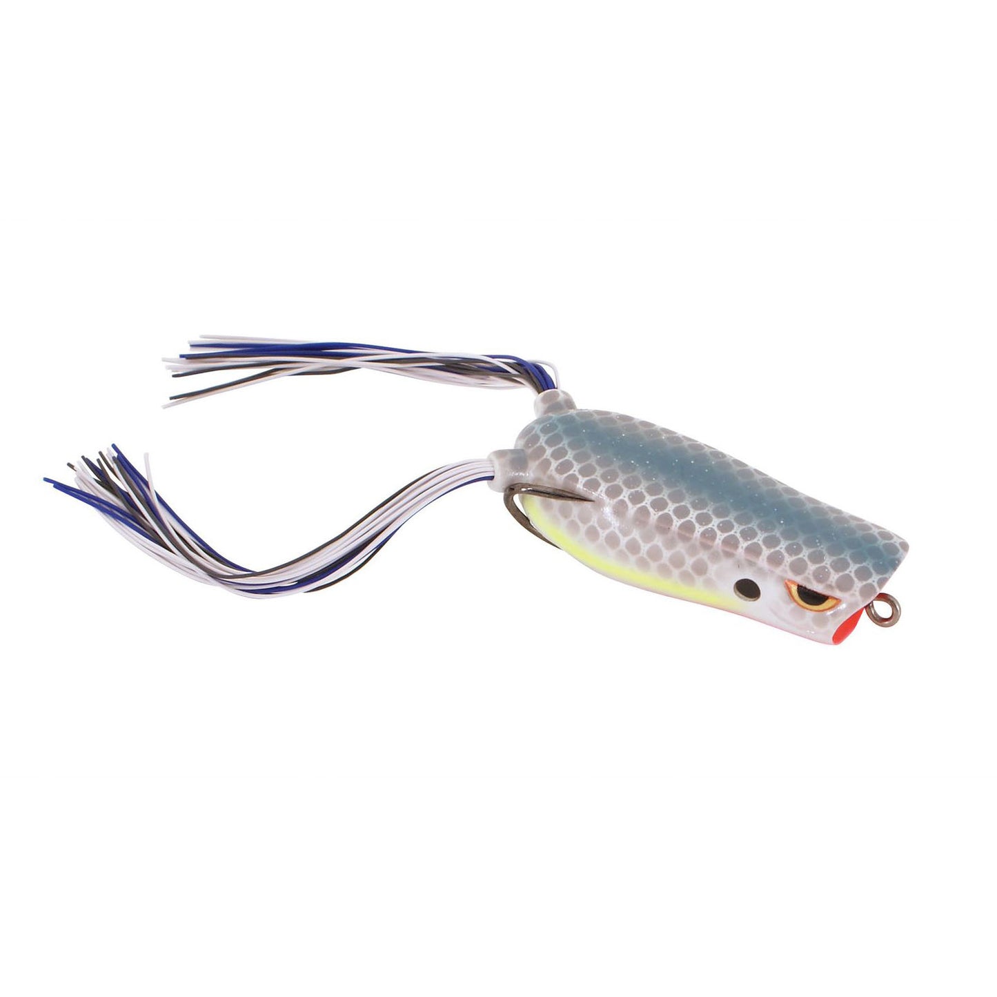 NASTY SHAD