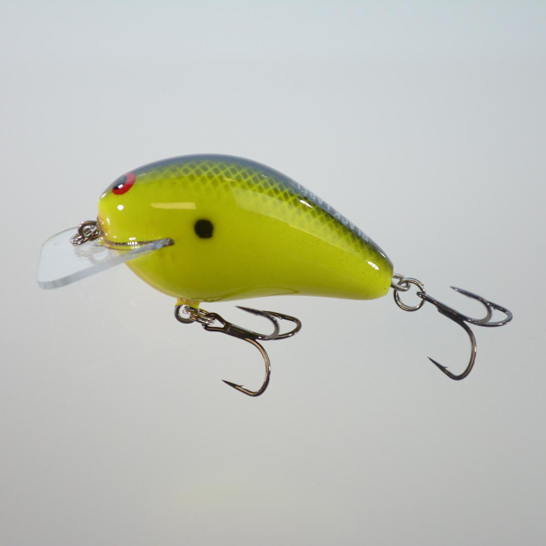 Chartreuse Black Back