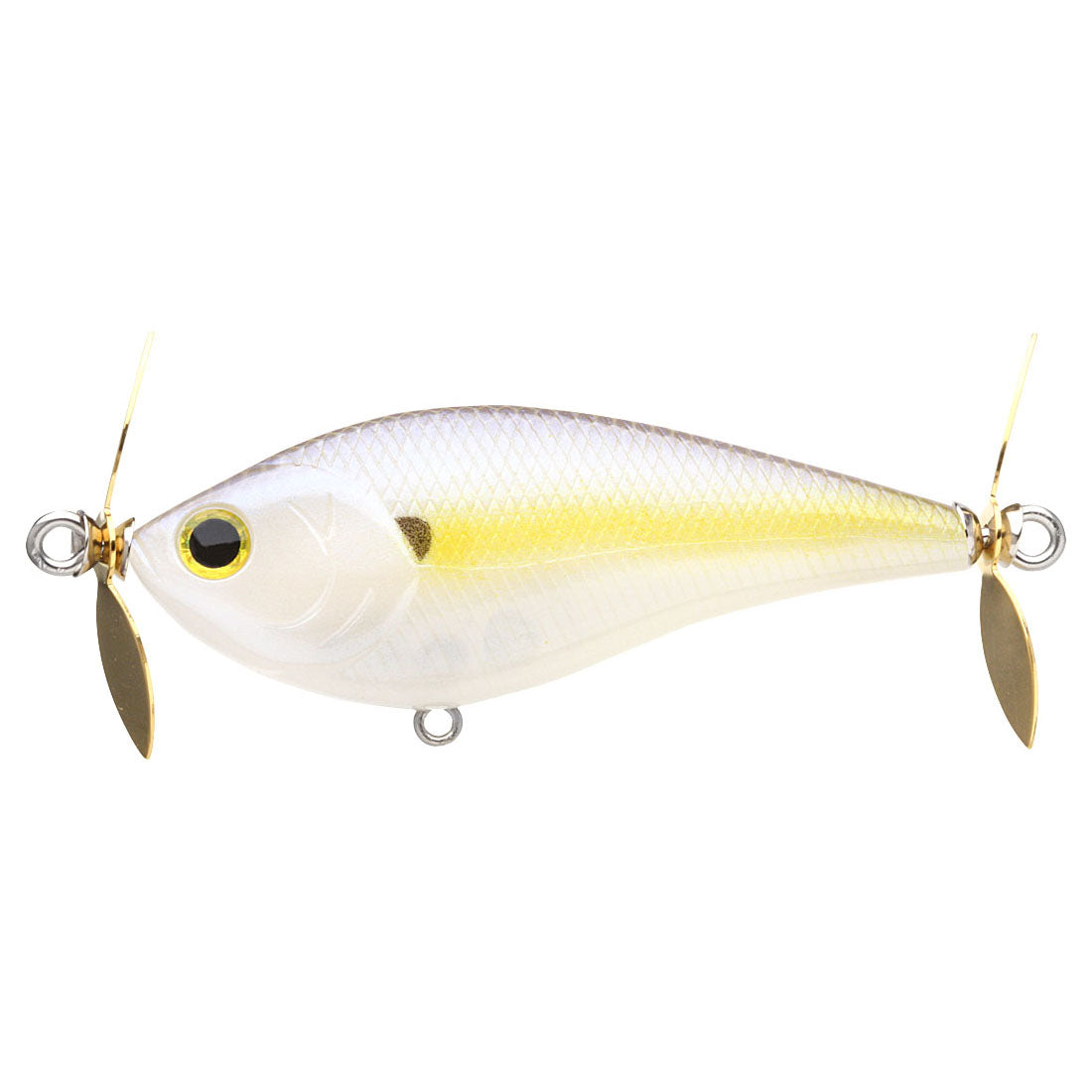 Chartreuse Shad