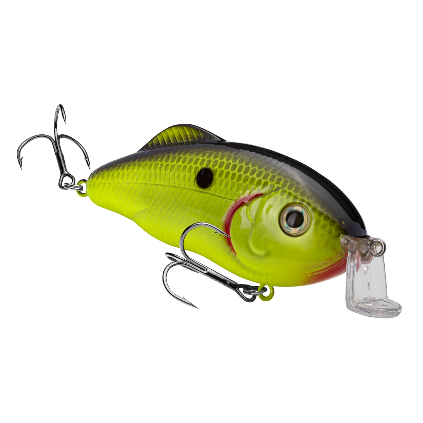 Chartreuse Black Back