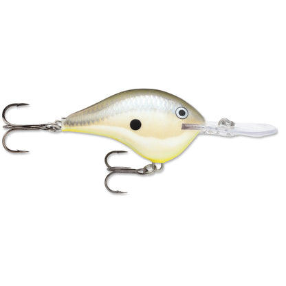 Disco Shad