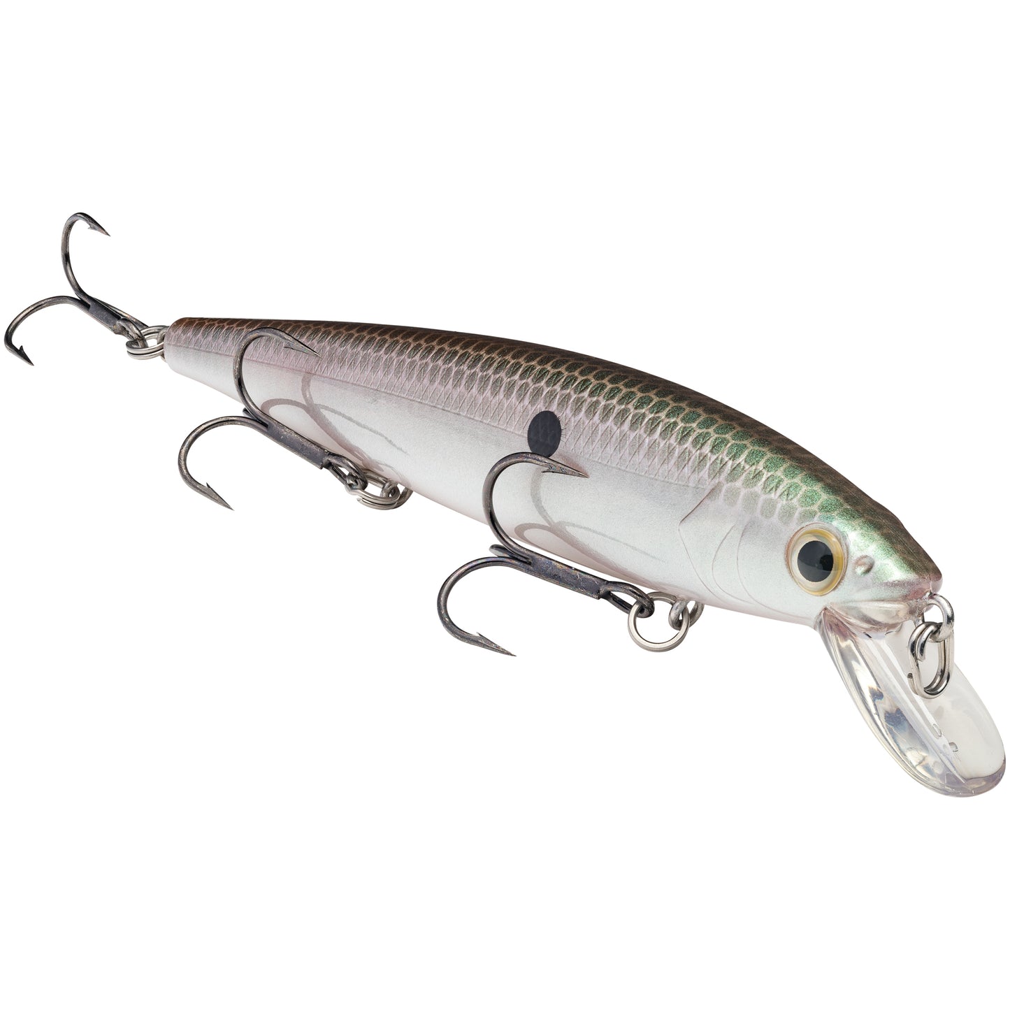 Green Gizzard Shad