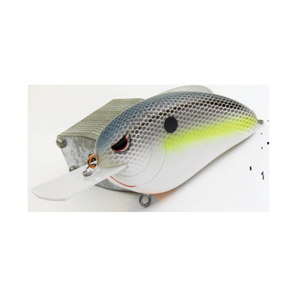 Nasty Shad