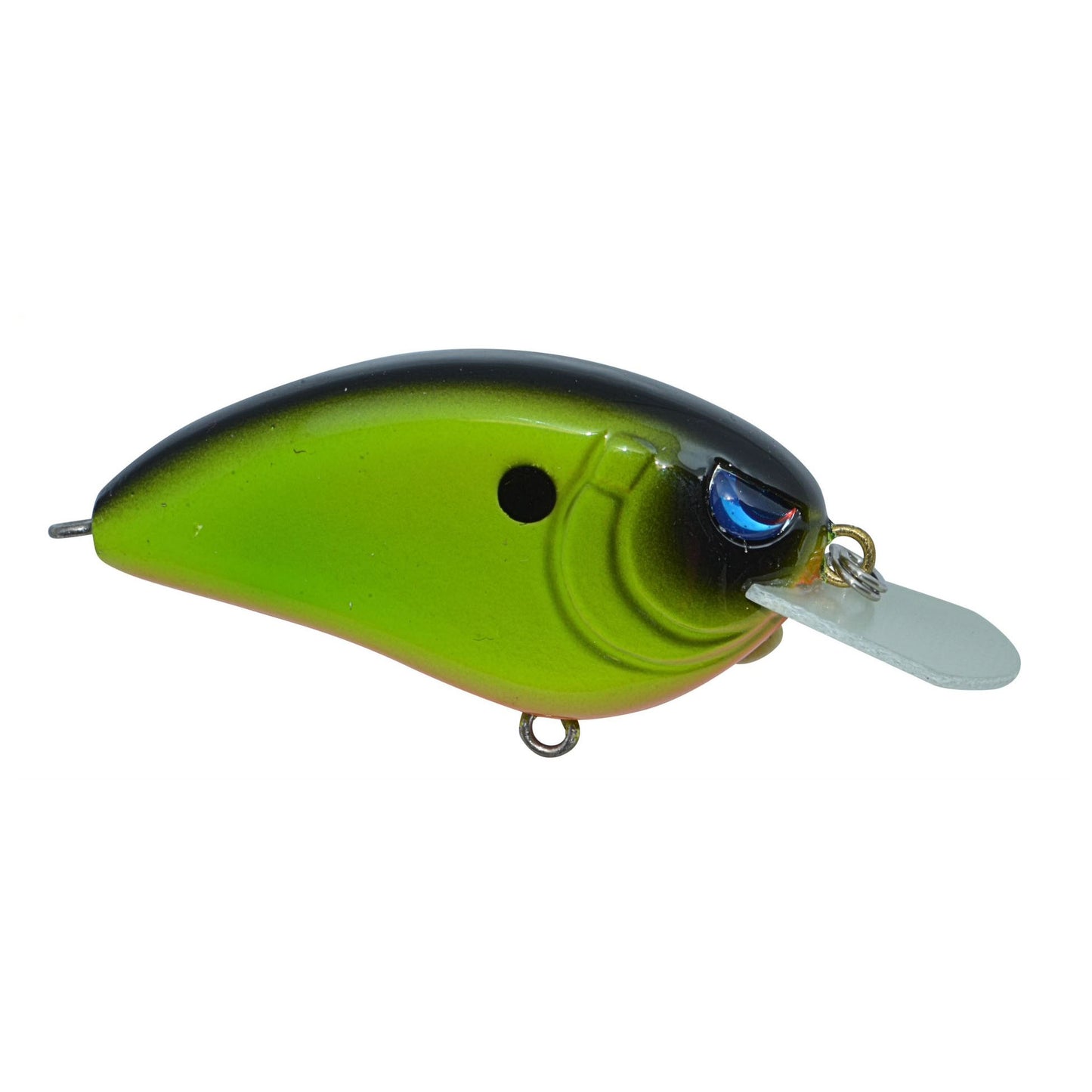 CHARTREUSE BLACK BACK