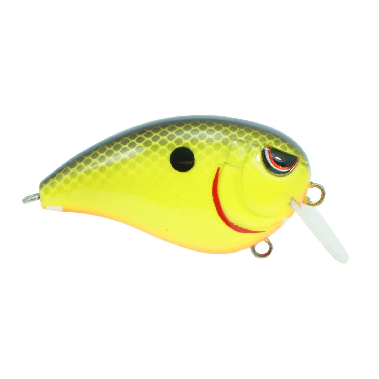 CHARTREUSE BLACK BACK