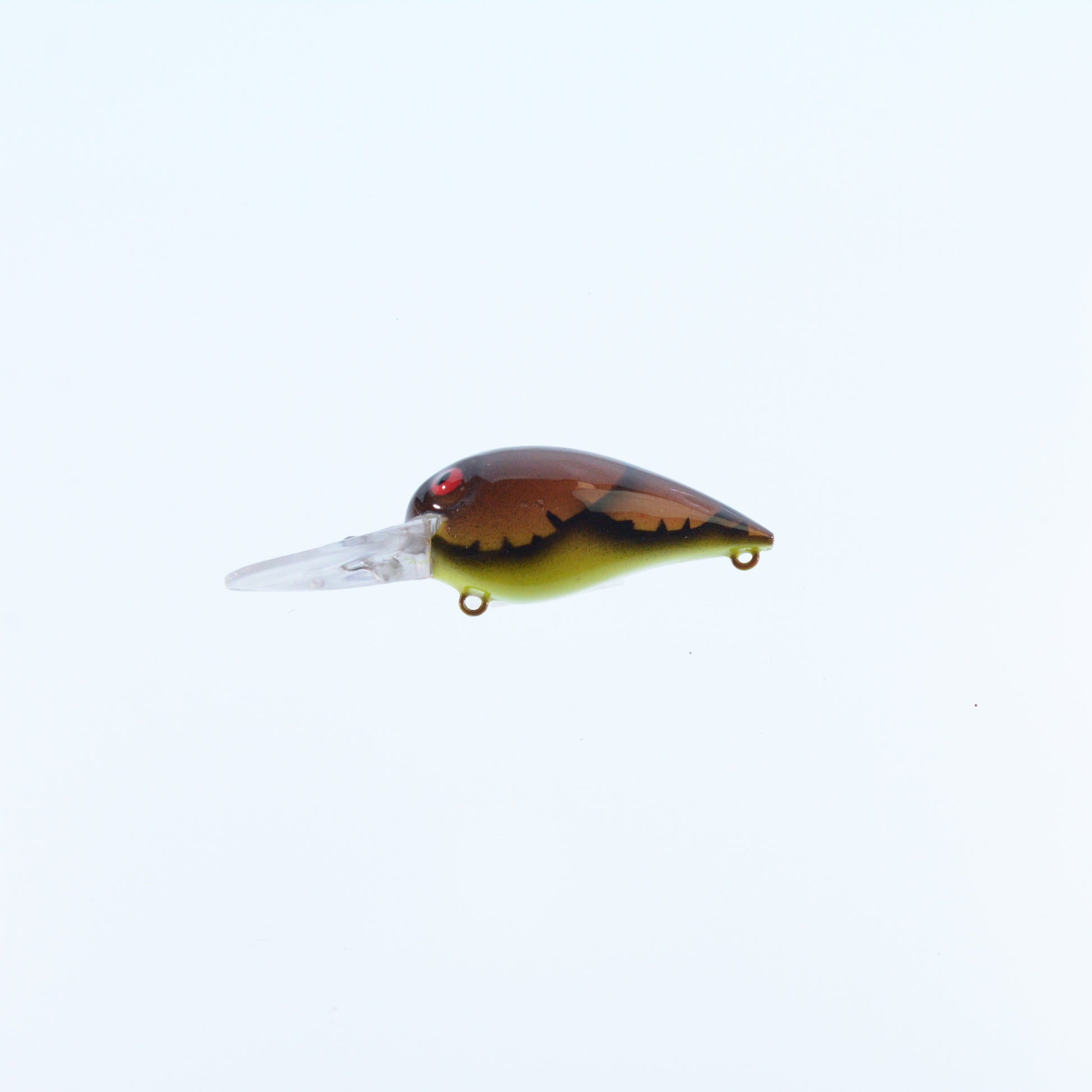 Brown/ Chartreuse Belly