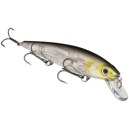 Clearwater Minnow
