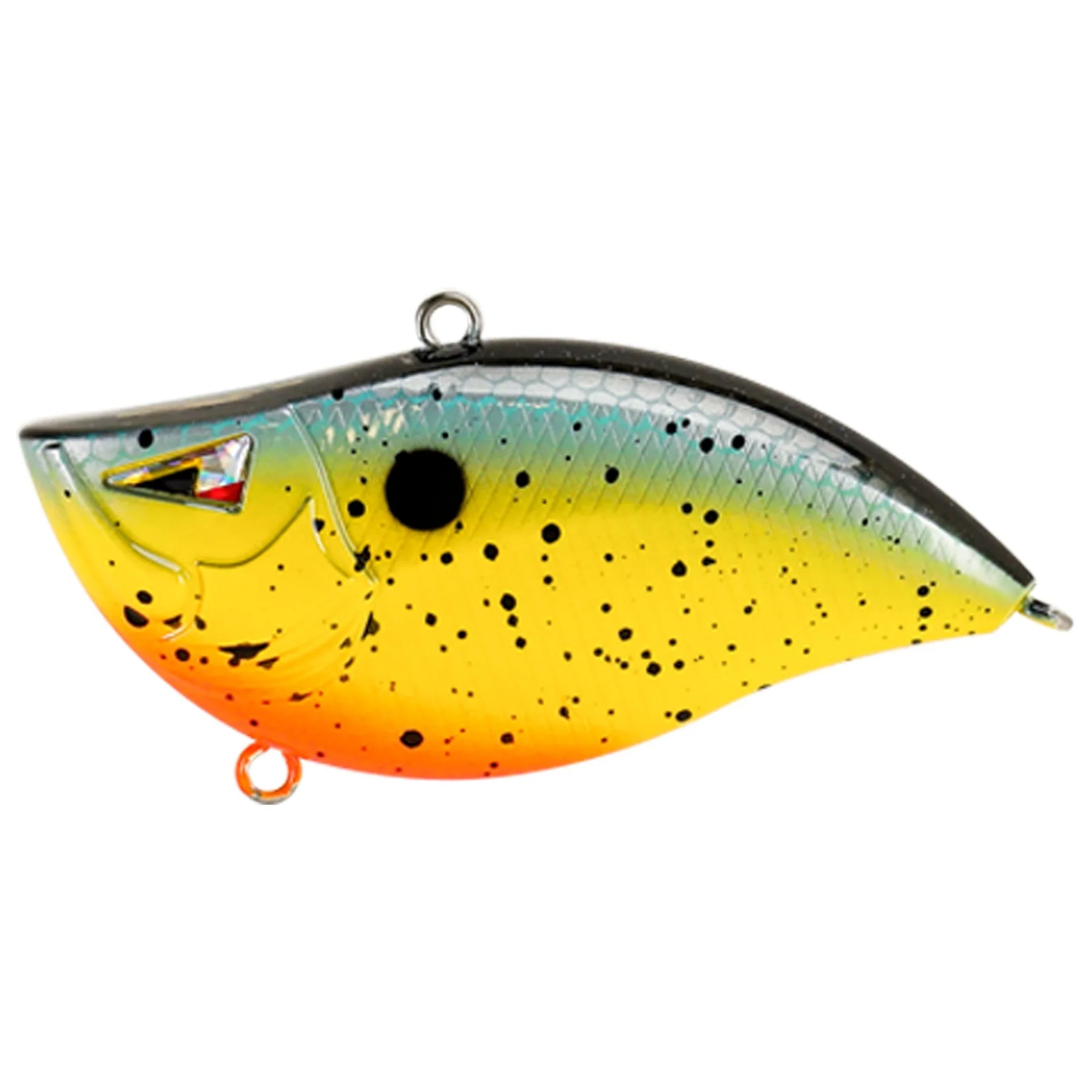 Trophy Catch
