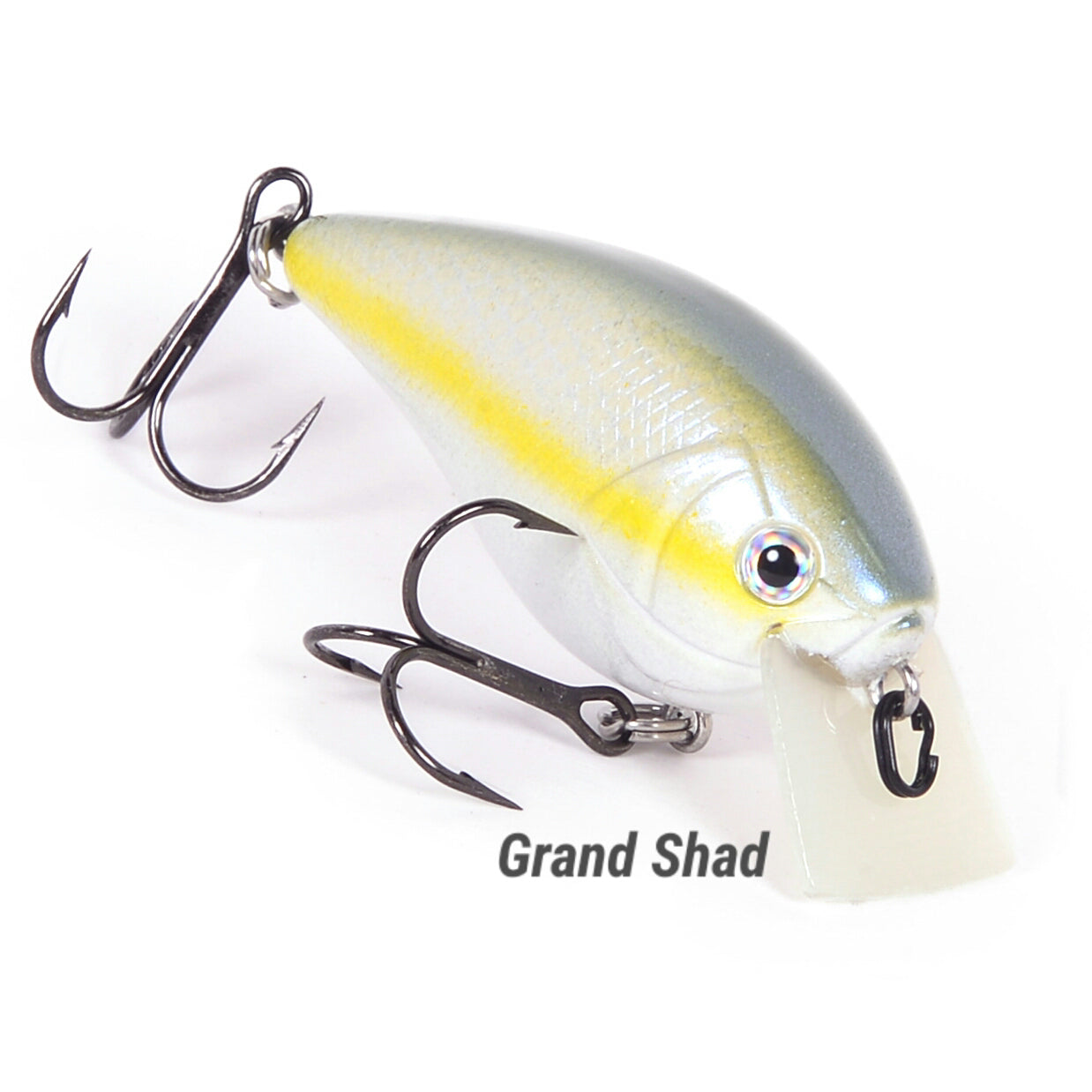 Grand Shad