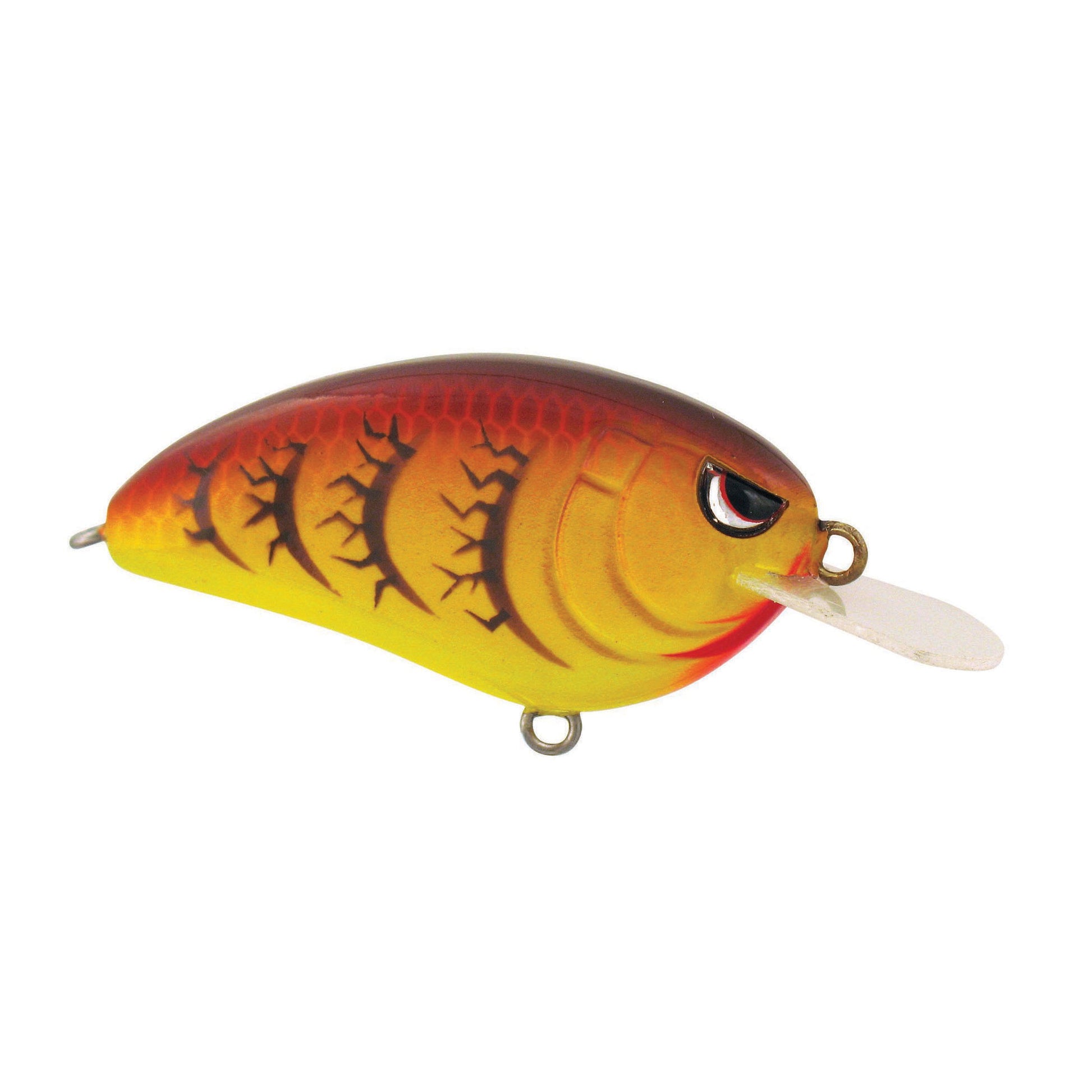 SPRING CRAW