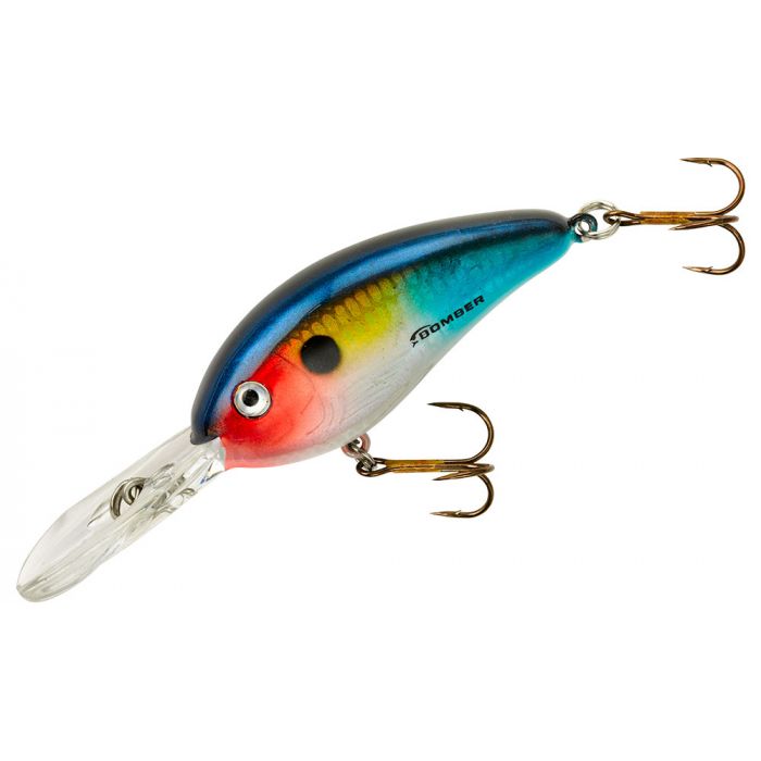 Dance's Threadfin Shad