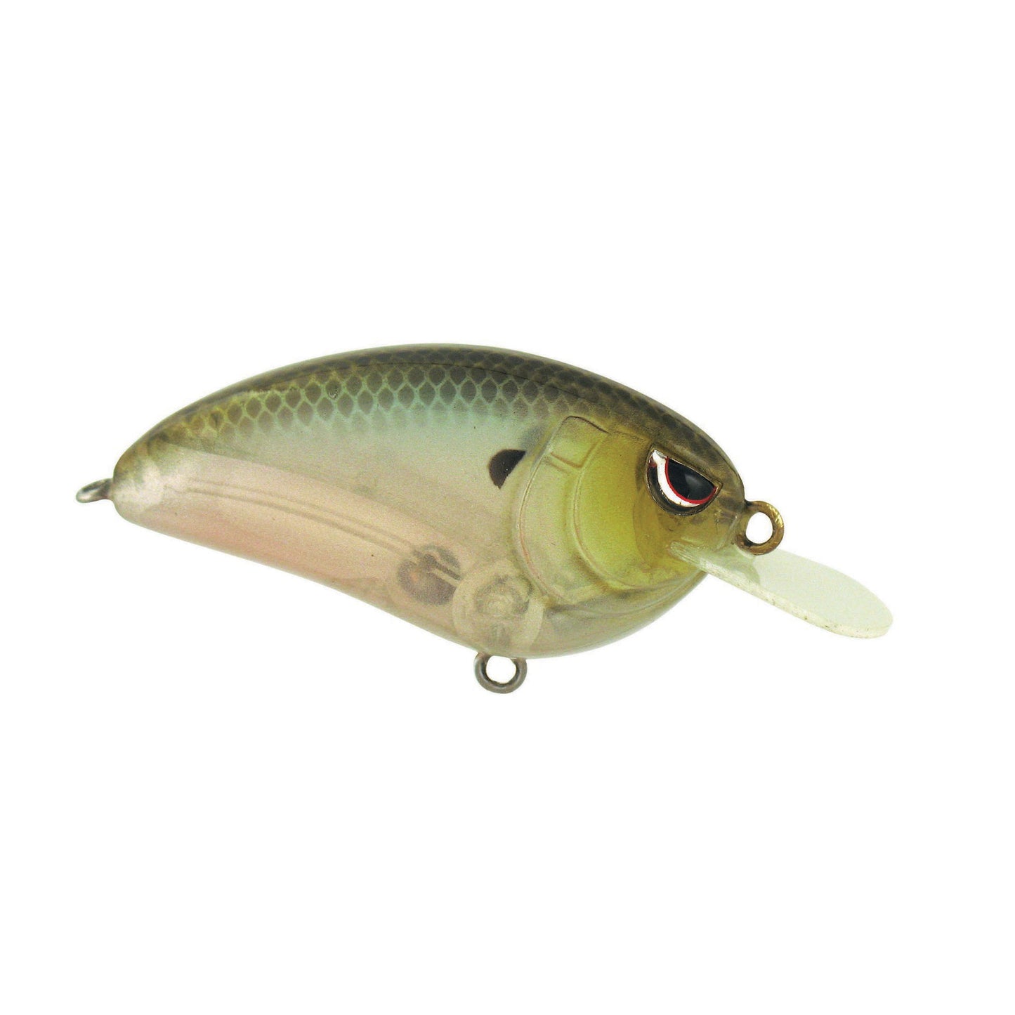 SPOOKY SHAD