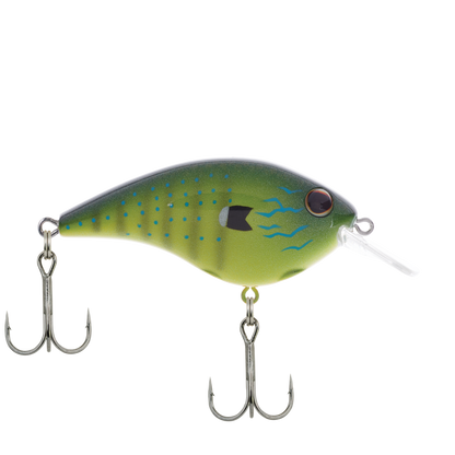 Rubbertail