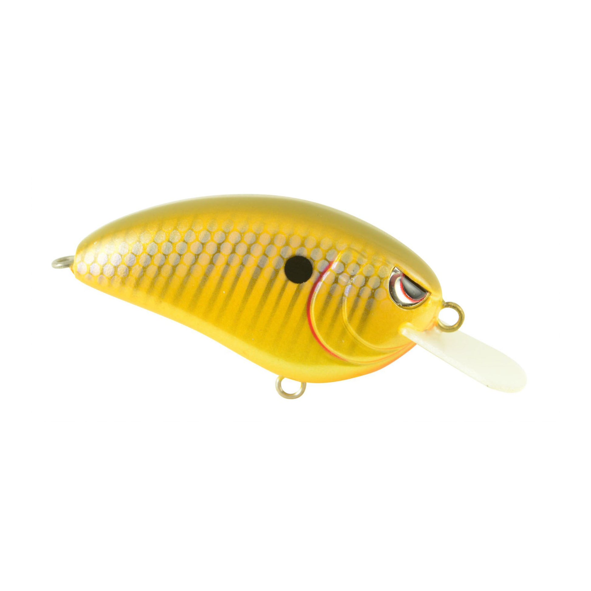 SUNNY BREAM