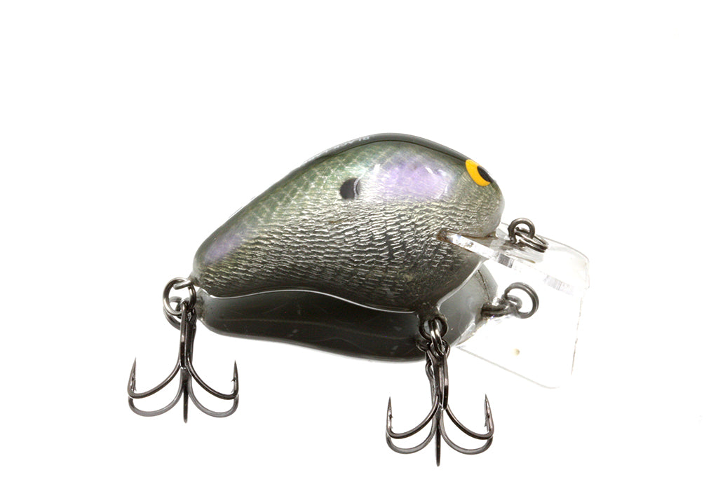 Gizzard Shad Foil